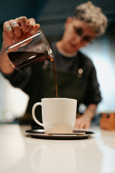 Barista pouring Novaro specialty coffee — daily ritual