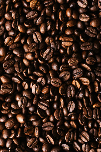 Novaro specialty whole bean dark roast coffee